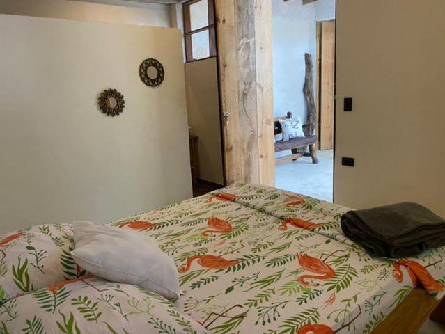 Appartement Jumanji à Palomino Extérieur photo